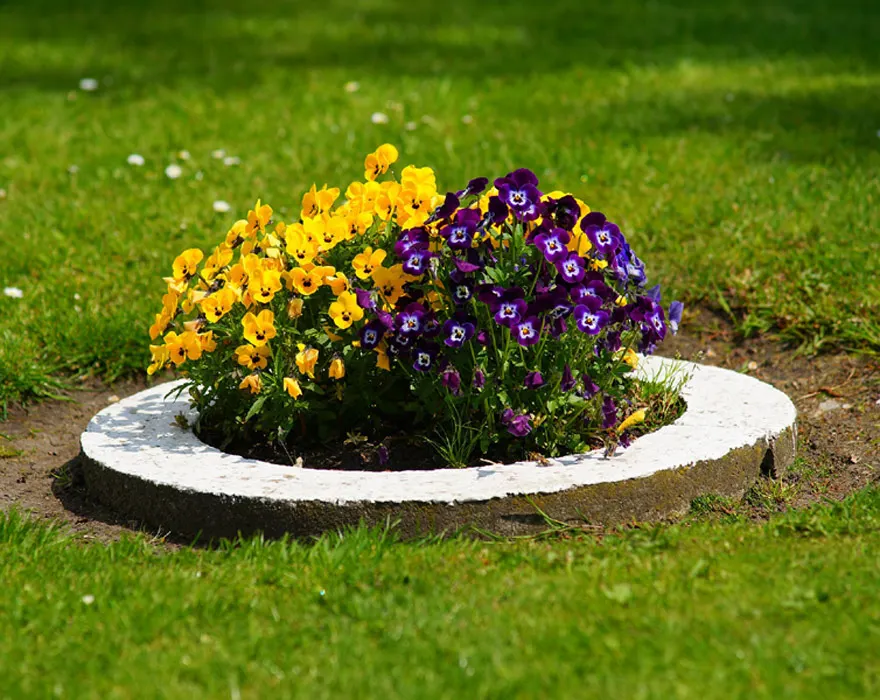Progettazione Giardini Firenze